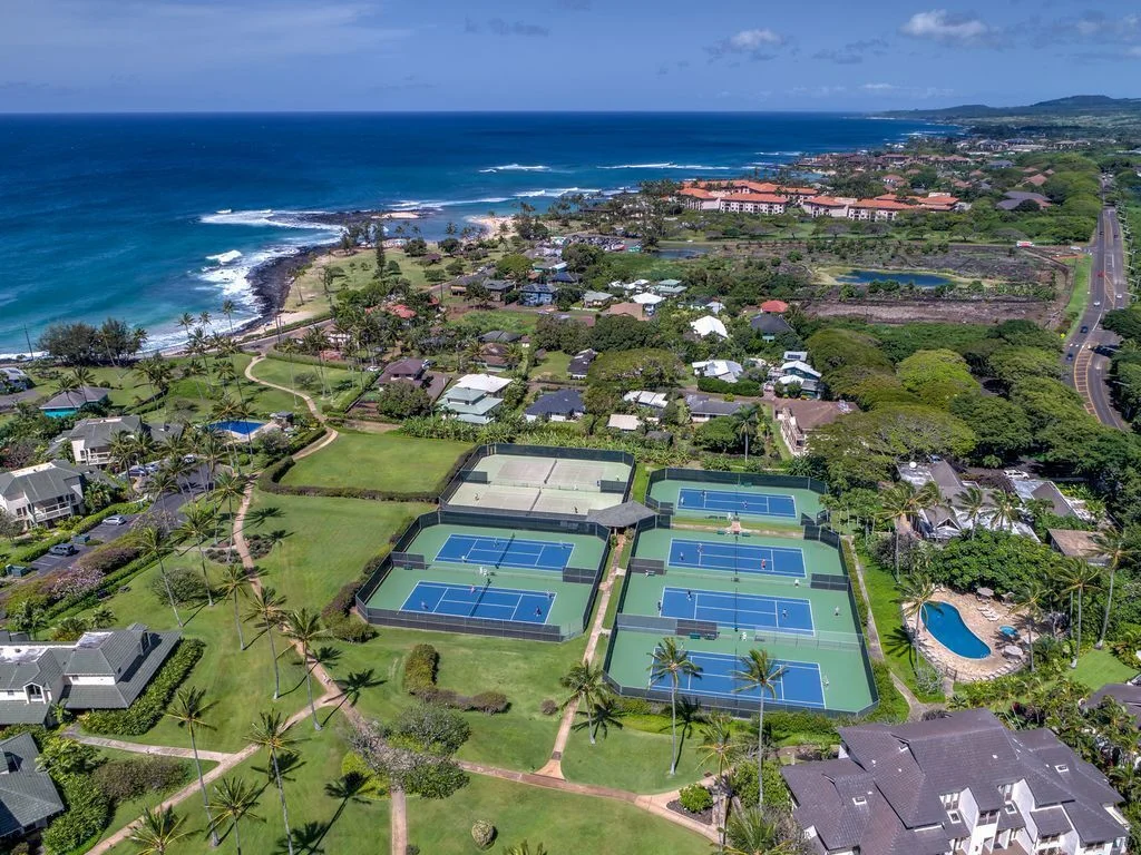 Drone picture of property area