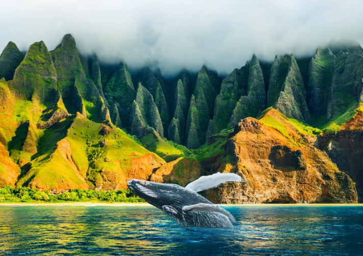 Whale breaching in the ocean with lush green mountains of Kauai in the background, highlighting the island's natural beauty and adventure opportunities